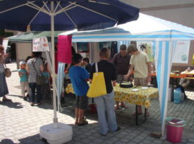 Bilder 2010 (7/108)
