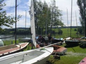 Bilder 2011 (33/59)